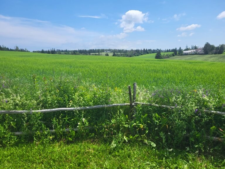 Alberta Releases Insect Survey Maps