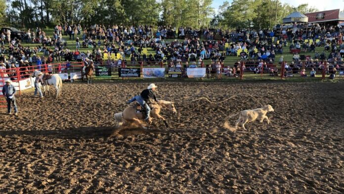 Action at the 2024 Daines Ranch Pro Rodeo. (Galen Hartviksen, mymountainviewnow.com staff)