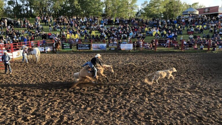 Action at the 2024 Daines Ranch Pro Rodeo. (Galen Hartviksen, mymountainviewnow.com staff)