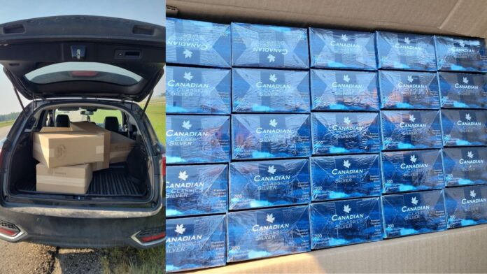 Untaxed cigarettes seized by RCMP on June 8, 2025. (Supplied, Alberta RCMP Media Group)