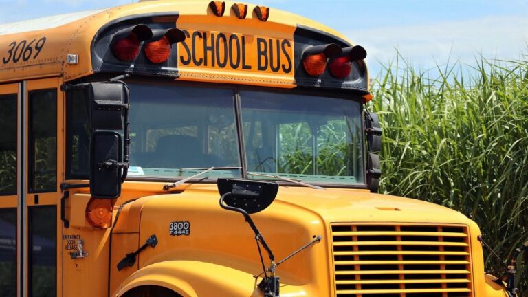 School Bus (Credit: Pixabay)