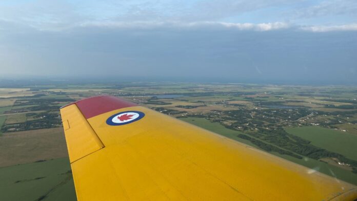 Royal Canadian Air Force insignia on airplane wing (Ethan Montague, MyMountainViewNow staff)