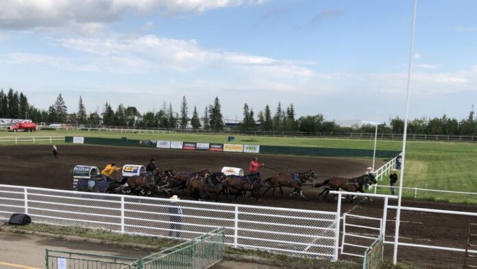 Riley Braaten sets the fastest time of the week so far on Night 2 of this year's North American Pony Chuckwagon Championships on July 17, 2025. (Galen Hartviksen, mymountainviewnow.com staff)