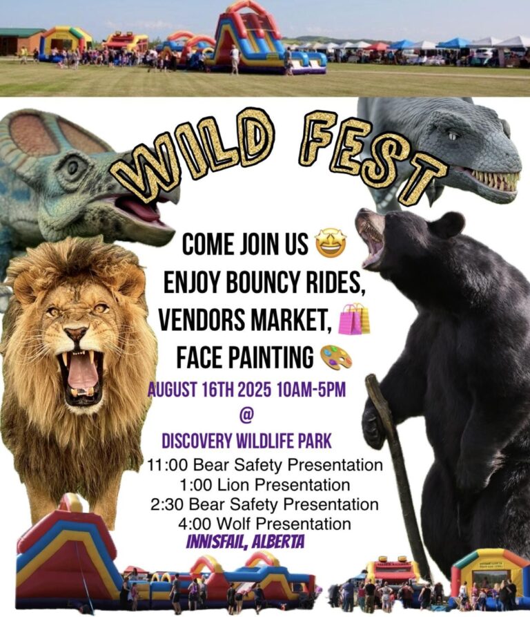 Wild Fest – Innisfail