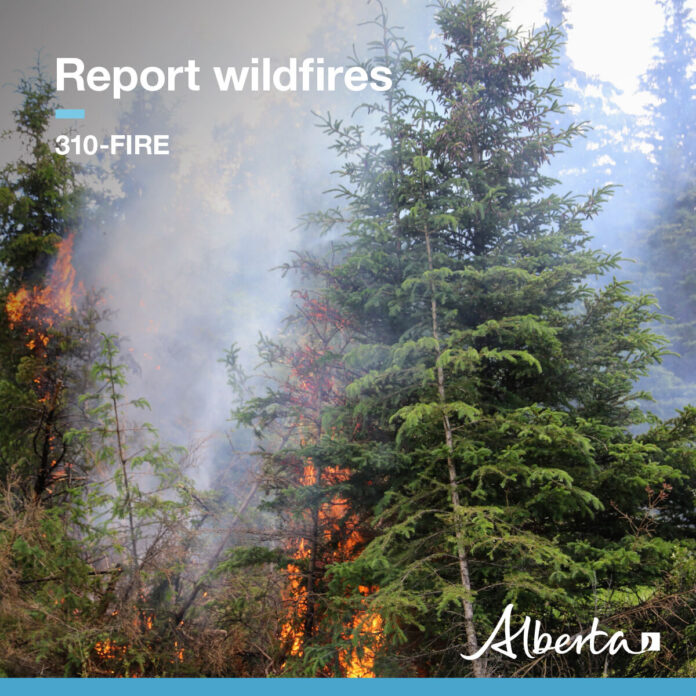 (Supplied, Alberta Forestry and Parks)