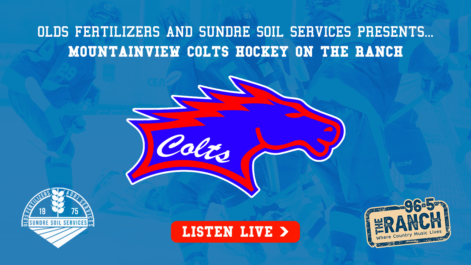 Mountain View Colts (Supplied, Vista Radio digital)