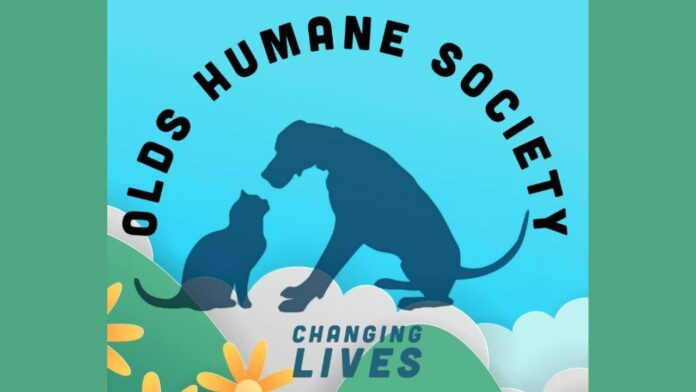 (Olds Humane Society Facebook page)