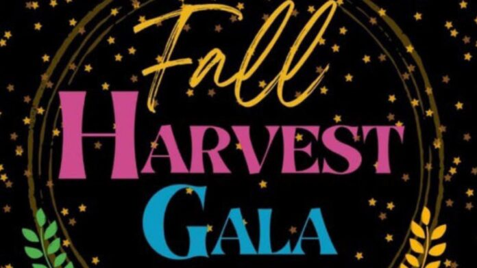 (Supplied, Hope 4 MVC Kids Society)