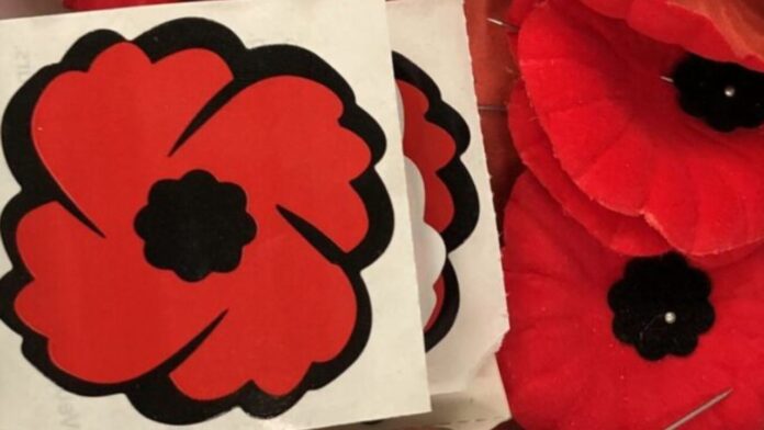 Poppies for Remembrance Day (Galen Hartviksen, mymountainviewnow.com staff)