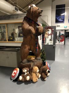 Teddy Bear Toss night at the Sportsplex