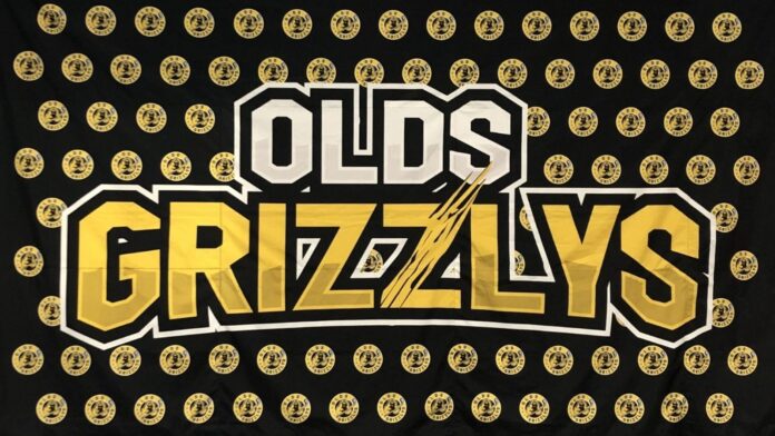 Olds Grizzlys wall banner. (Galen Hartviksen, mymountainviewnow.com staff)