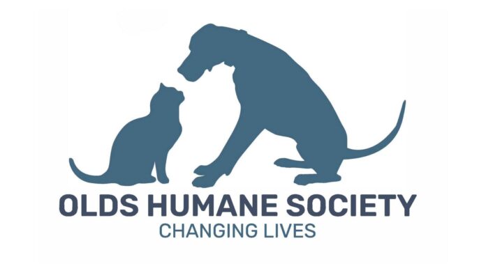 (Olds Humane Society Facebook page)