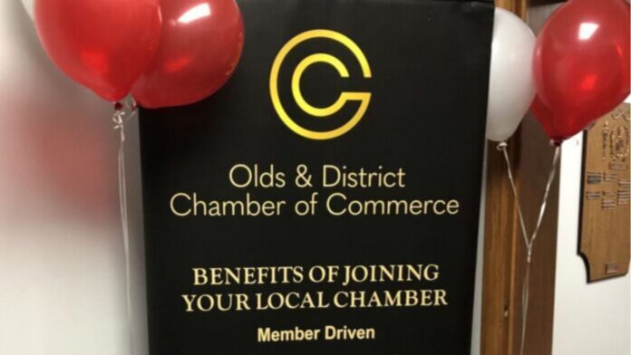 Olds & District Chamber of Commerce Small Business Awards Gala on October 23, 2025. (Galen Hartviksen, mymountainviewnow.com staff)