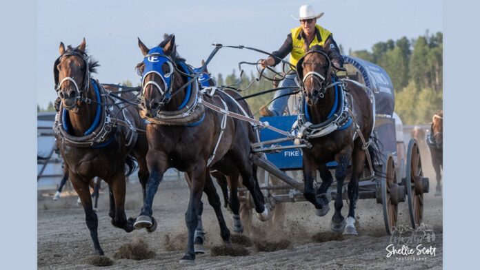 (Supplied, World Professional Chuckwagon Association)
